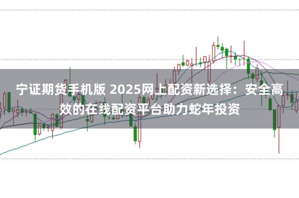 宁证期货手机版 2025网上配资新选择：安全高效的在线配资平台助力蛇年投资