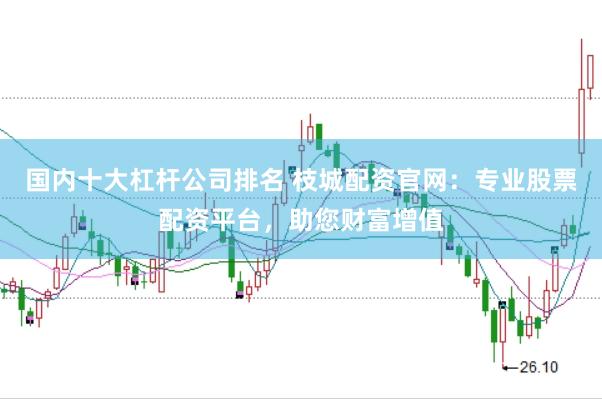国内十大杠杆公司排名 枝城配资官网：专业股票配资平台，助您财富增值