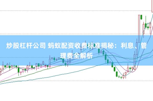 炒股杠杆公司 蚂蚁配资收费标准揭秘：利息、管理费全解析