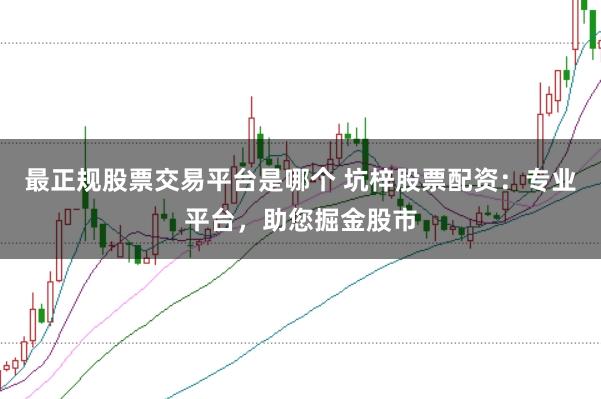 最正规股票交易平台是哪个 坑梓股票配资：专业平台，助您掘金股市