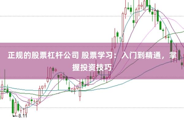 正规的股票杠杆公司 股票学习：入门到精通，掌握投资技巧