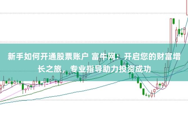 新手如何开通股票账户 富牛网：开启您的财富增长之旅，专业指导助力投资成功