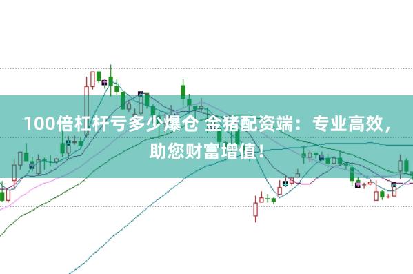 100倍杠杆亏多少爆仓 金猪配资端：专业高效，助您财富增值！
