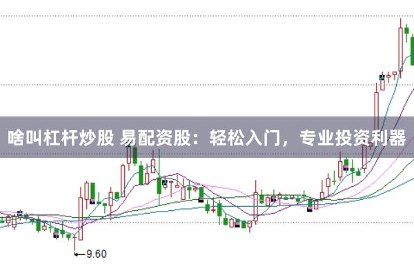 啥叫杠杆炒股 易配资股：轻松入门，专业投资利器