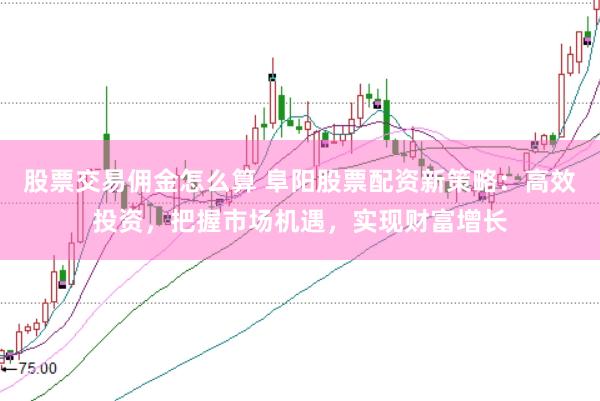 股票交易佣金怎么算 阜阳股票配资新策略：高效投资，把握市场机遇，实现财富增长
