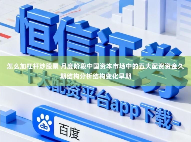 怎么加杠杆炒股票 月度阶段中国资本市场中的五大配资资金久期结构分析结构变化早期