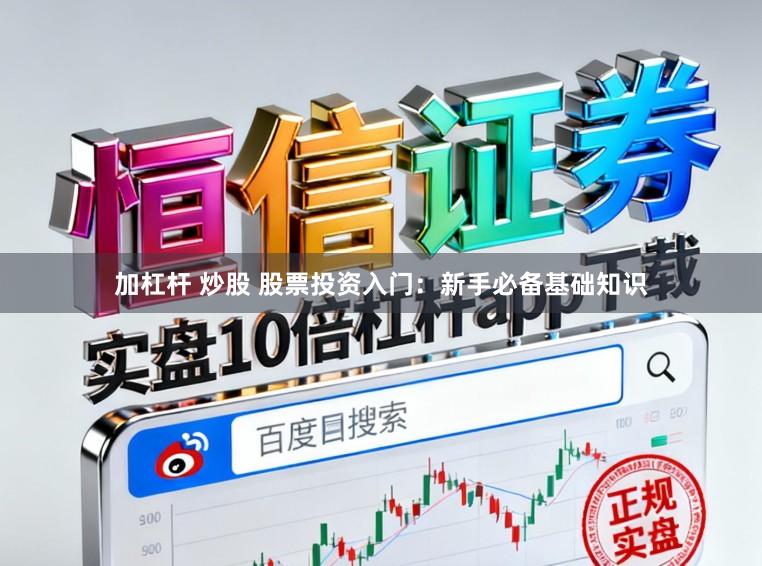 加杠杆 炒股 股票投资入门：新手必备基础知识